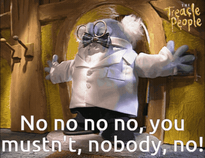A Picture Of A Stuffed Animal With The Words No No No No You Mustn T Nobody No GIF