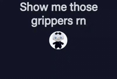 A Picture Of A Stuffed Animal With The Words Show Me Those Grippers Rn Above It GIF
