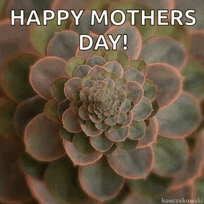 A Picture Of A Succulent Plant With The Words `` Happy Mothers Day '' Written Above It . GIF