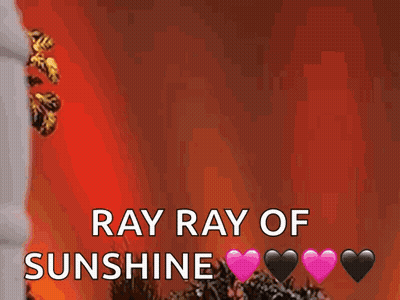 A Picture Of A Sunflower And The Words Ray Ray Of Sunshine GIF