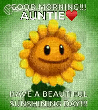A Picture Of A Sunflower That Says Good Morning Auntie GIF