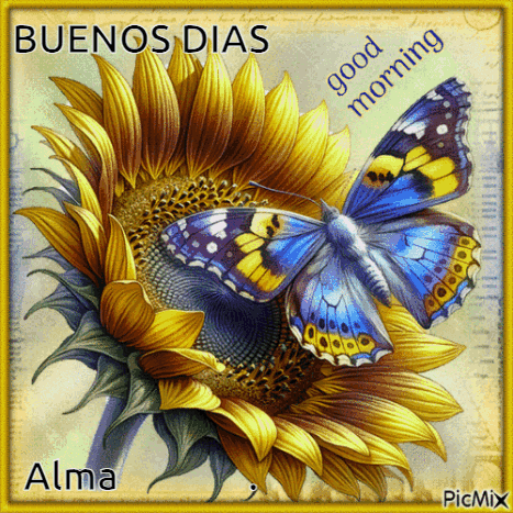 A Picture Of A Sunflower With A Blue Butterfly On It GIF