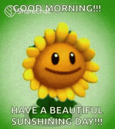 A Picture Of A Sunflower With A Face And The Words `` Have A Beautiful Sunshine Day '' . GIF