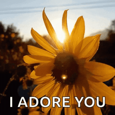 A Picture Of A Sunflower With The Words " I Adore You " Below It GIF