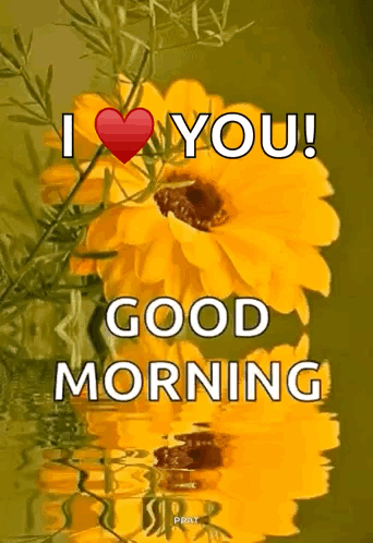 A Picture Of A Sunflower With The Words " I Love You " On It GIF