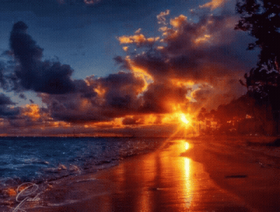 A Picture Of A Sunset On A Beach With The Name Gala On The Bottom Right GIF
