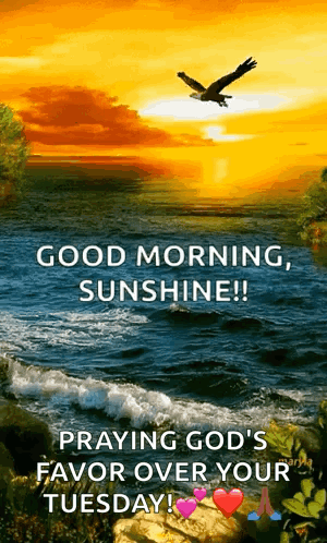 A Picture Of A Sunset Over A Body Of Water With An Eagle Flying Over It . GIF