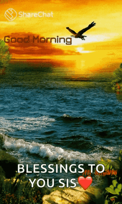 A Picture Of A Sunset Over A Body Of Water With The Words Blessings To You Sis GIF