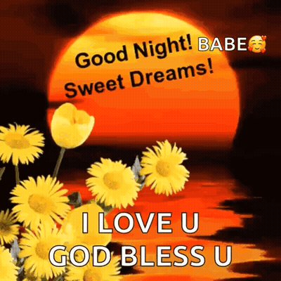 A Picture Of A Sunset With Flowers And The Words `` Good Night Babe Sweet Dreams I Love U God Bless U '' . GIF
