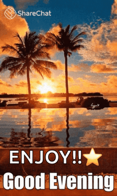A Picture Of A Sunset With Palm Trees And The Words " Enjoy !! Good Evening " GIF