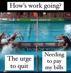 A Picture Of A Swimming Pool With The Words How 'S Work Going The Urge To Quit Needing To Pay My Bills GIF