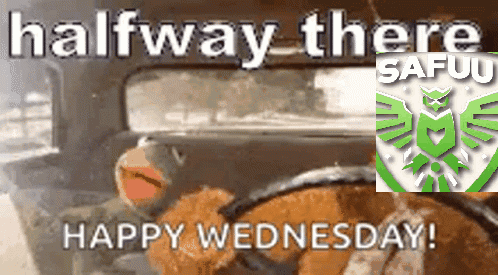 A Picture Of A Teddy Bear Driving A Car With The Words Halfway There Happy Wednesday GIF