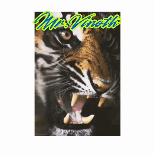 A Picture Of A Tiger With Its Mouth Open And The Name Mrs. Vinette On It GIF