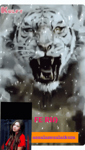 A Picture Of A Tiger With The Words Fe Rio On The Bottom GIF