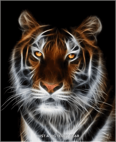 A Picture Of A Tiger With The Words Just A Big Teddy Bear GIF