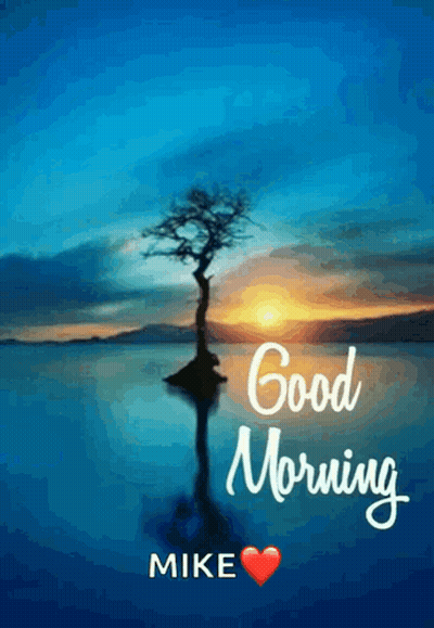 A Picture Of A Tree In The Middle Of A Body Of Water With The Words Good Morning Mike GIF