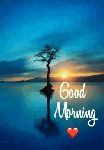 A Picture Of A Tree In The Middle Of A Body Of Water With The Words Good Morning GIF