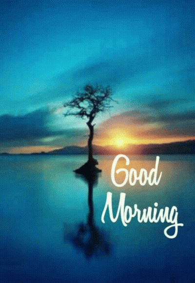 A Picture Of A Tree In The Water With The Words Good Morning Written Below It GIF