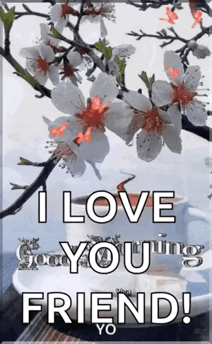 A Picture Of A Tree With Flowers And A Cup Of Coffee With The Words `` I Love You Friend ! '' GIF