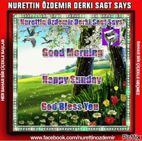 A Picture Of A Tree With The Words Good Morning Happy Sunday God Bless You On It GIF