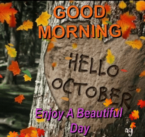 A Picture Of A Tree With The Words Good Morning Hello October Written On It GIF