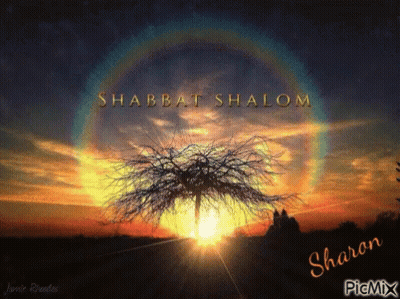 A Picture Of A Tree With The Words Shabbat Shalom Written On It GIF