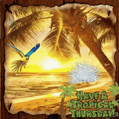 A Picture Of A Tropical Beach With The Words Have A Tropical Thursday GIF