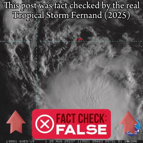A Picture Of A Tropical Storm Fernand With A Red Fact Check False Button GIF