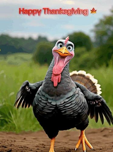 A Picture Of A Turkey With A Happy Thanksgiving Message GIF