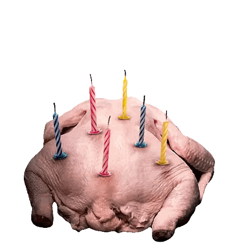 A Picture Of A Turkey With Candles On It And The Word Drumm On It Sticker