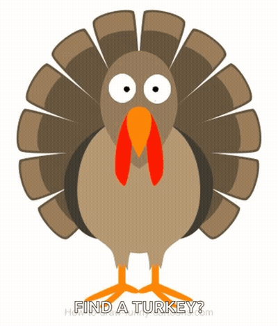 A Picture Of A Turkey With The Words Find A Turkey At The Bottom GIF