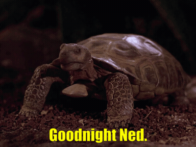 A Picture Of A Turtle With The Words " Goodnight Ned " Below It GIF