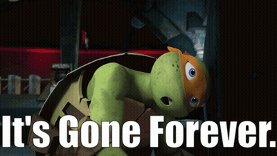 A Picture Of A Turtle With The Words " It 'S Gone Forever " GIF