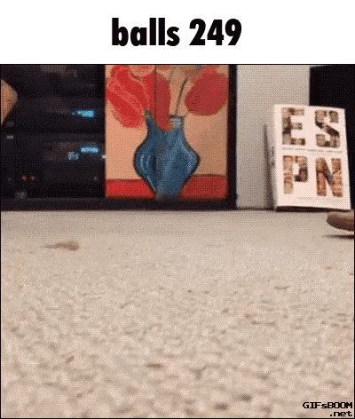 A Picture Of A Vase With The Words Balls 249 On It GIF