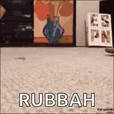A Picture Of A Vase With The Words Rubbah Written On It GIF