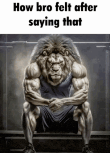 A Picture Of A Very Muscular Lion Sitting On A Bench With The Caption How Bro Felt After Saying That GIF