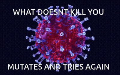 A Picture Of A Virus With The Words " What Does Nt Kill You Mutates And Tries Again " GIF