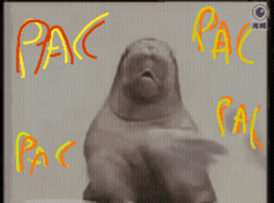 A Picture Of A Walrus With The Words Pac Written Around It GIF