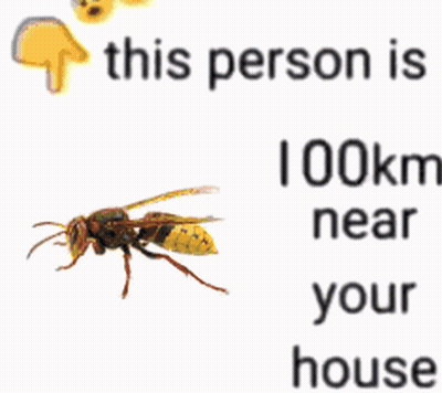 A Picture Of A Wasp Next To A Text That Says 41 Km Near Your House GIF