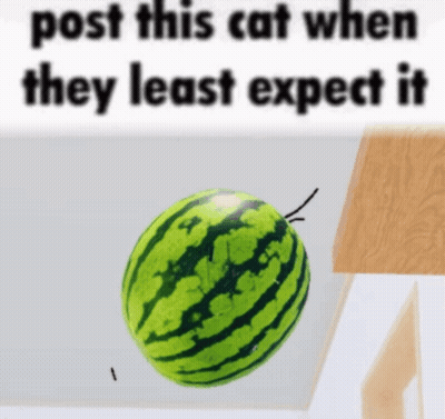 A Picture Of A Watermelon With The Words Post This Cat When They Least Expect It Below It GIF