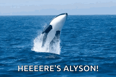 A Picture Of A Whale Jumping Out Of The Water With The Words Heeere 'S Alyson Below It GIF