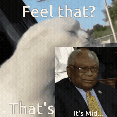 A Picture Of A White Bird And A Picture Of A Man In A Suit And Tie GIF