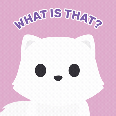A Picture Of A White Cat With The Words What Is That Below It GIF