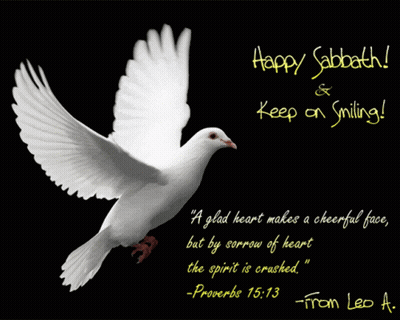 A Picture Of A White Dove With A Quote From Proverbs GIF