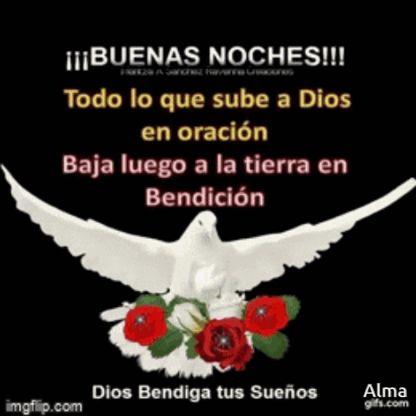 A Picture Of A White Dove With Red Roses And The Words " Buenas Noches " GIF