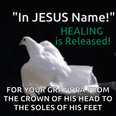A Picture Of A White Dove With The Words " In Jesus Name Healing Is Released " Below It GIF