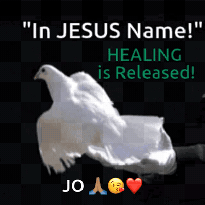 A Picture Of A White Dove With The Words " In Jesus Name " Healing Is Released GIF