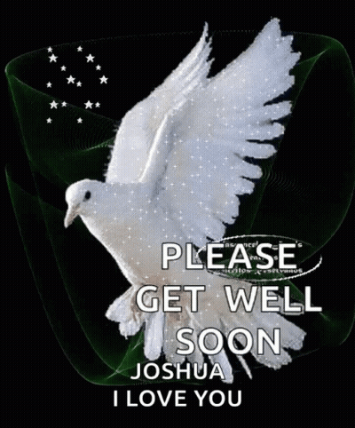 A Picture Of A White Dove With The Words Please Get Well Soon Joshua I Love You On It GIF