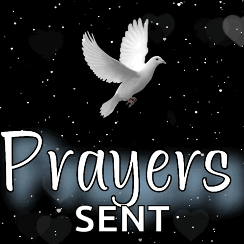 A Picture Of A White Dove With The Words " Prayers Sent " Below It GIF