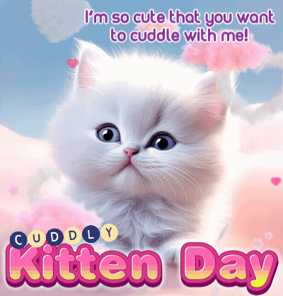 A Picture Of A White Kitten With The Words " I 'M So Cute That You Want To Cuddle With Me " Below It GIF